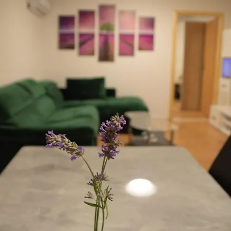 Cosy Charming Near The Palace 斯普利特